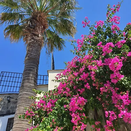 Bella Garden Hotel 4*