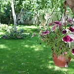 Hotel Bella Garden Bodrum