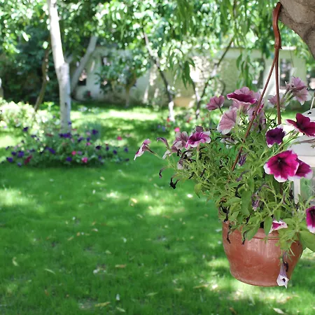 Hotell Bella Garden Bodrum