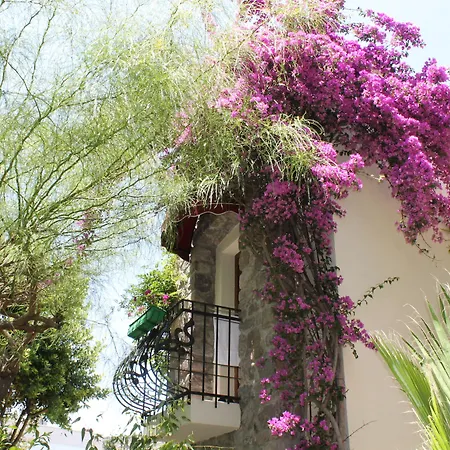 מלון Bella Garden 4*
