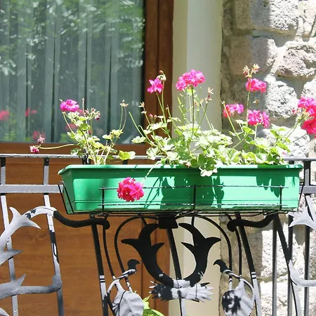 Bella Garden Hotel 4*