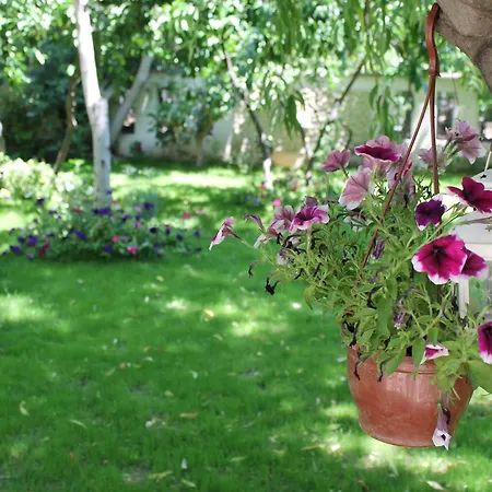 Bella Garden Hotel Bodrum